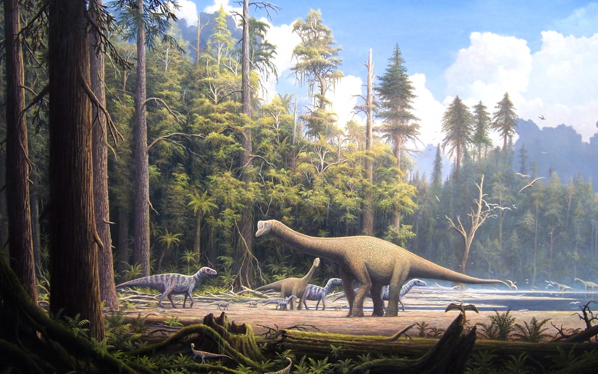 Paysage présentant un grand dinosaure au long cou et plusieurs autres dinosaures proches d'un point d'eau, entourés d'une flore de grands conifères