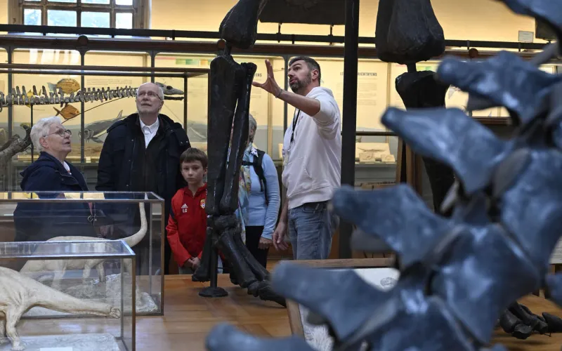 Visite Familles Galerie de Paléontologie et d'Anatomie Comparée