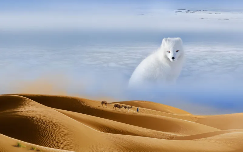 Désert froid avec renard polaire et désert chaud avec dromadaires