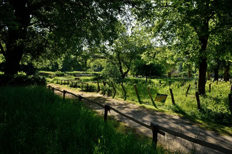 Jardin écologique - Jardin des Plantes